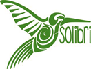 Logo Solibri