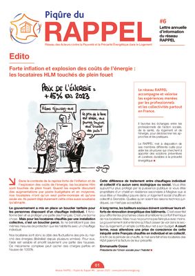 thumbnail of EXE_NEWSLETTER_PIQURE DU RAPPEL_N°6_2022_WEB