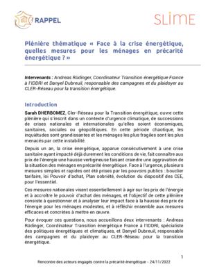 thumbnail of CR-Pleniere thematique_RAPPEL_24112022