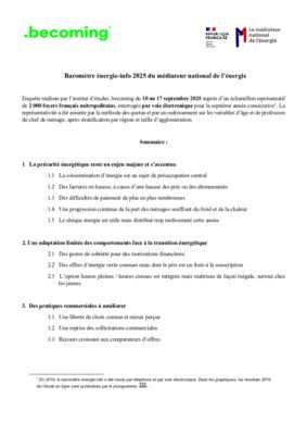 thumbnail of synthese_barometre-energie-info_2025